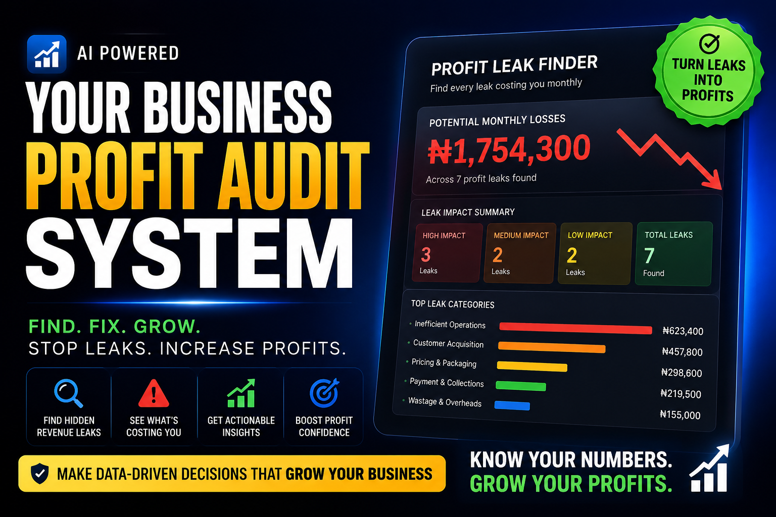 Your Business Profit Audit System